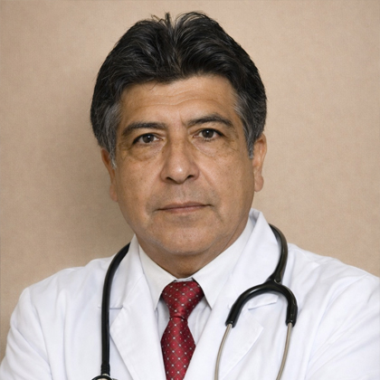Alvarado Palomino Luis